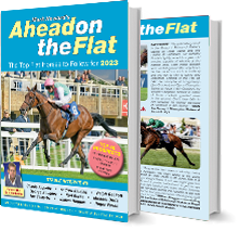 Ahead On The Flat